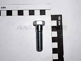 Болт 12х45 