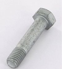 3013384 Lemken Болт с 6-гранной головкой  M12x55-10.9 Zn